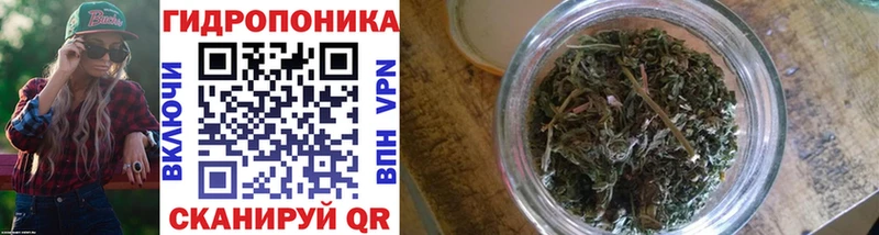 Как найти наркотики Пустошка Бошки Шишки КОКАИН ГАШИШ Мефедрон