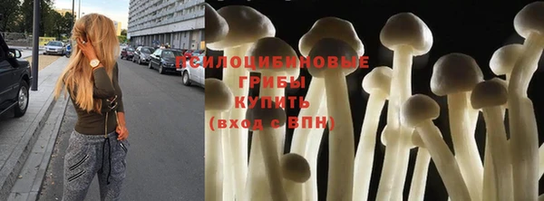 молекула духа Алзамай