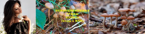 синтетический гашиш Алексин