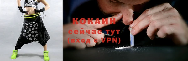 гидра Новозыбков