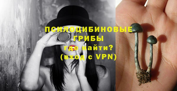 молекула духа Алзамай