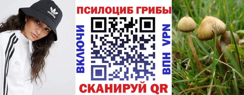 наркота  Пустошка  Псилоцибиновые грибы мухоморы 